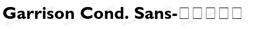 Garrison Cond. Sans字体转换
